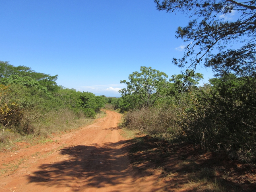 0 Bedroom Property for Sale in Bathurst Eastern Cape